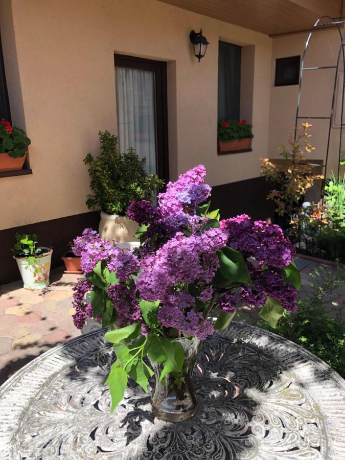 Milla Apartman Szentendre Εξωτερικό φωτογραφία