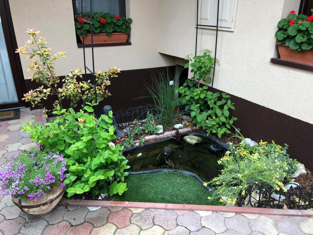Milla Apartman Szentendre Εξωτερικό φωτογραφία